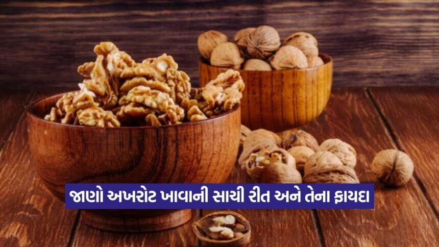Walnut 2608