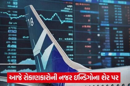 indigo shares