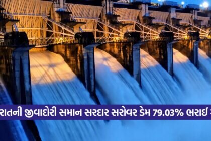 dam 2808 1
