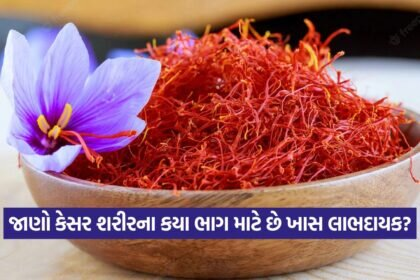 kesar 2808