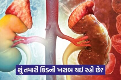 kidney 43
