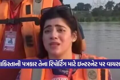 reporter 2908