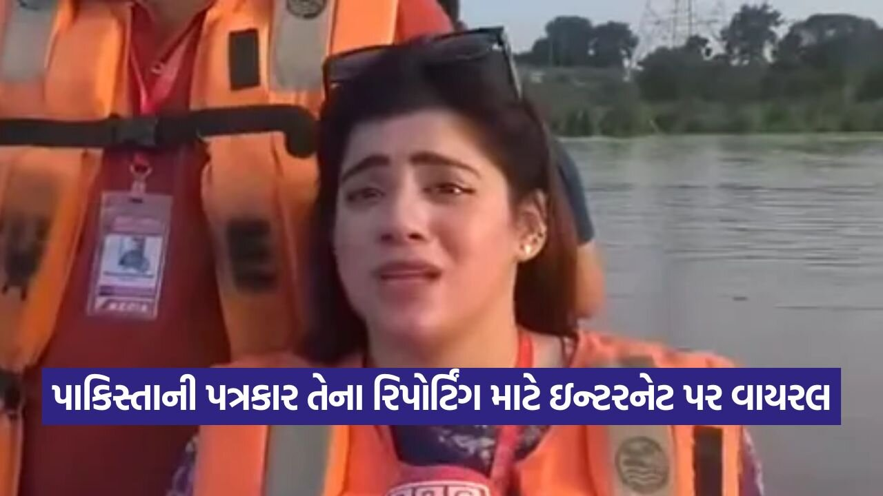 reporter 2908.jpg