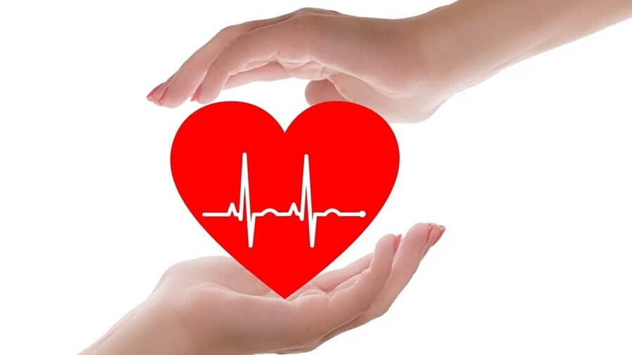 શું તમે પણ એલ્યુમિનિયમના વાસણો વાપરો છો? જાણો તે તમારા સ્વાસ્થ્ય માટે કેટલા જોખમી છે 2 heart.jpg