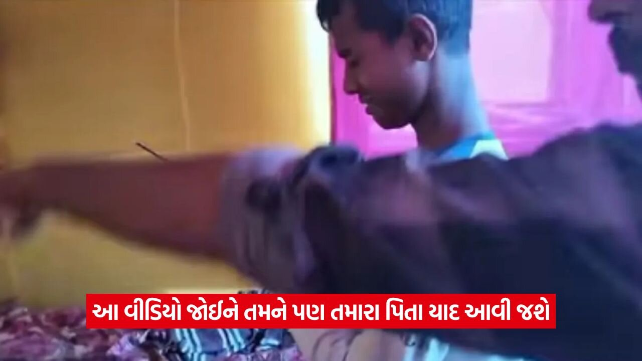 video24.jpg