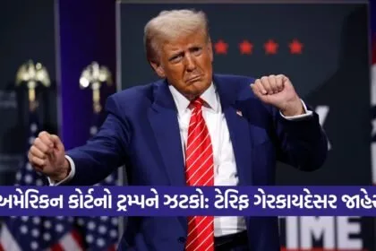 trump 3008
