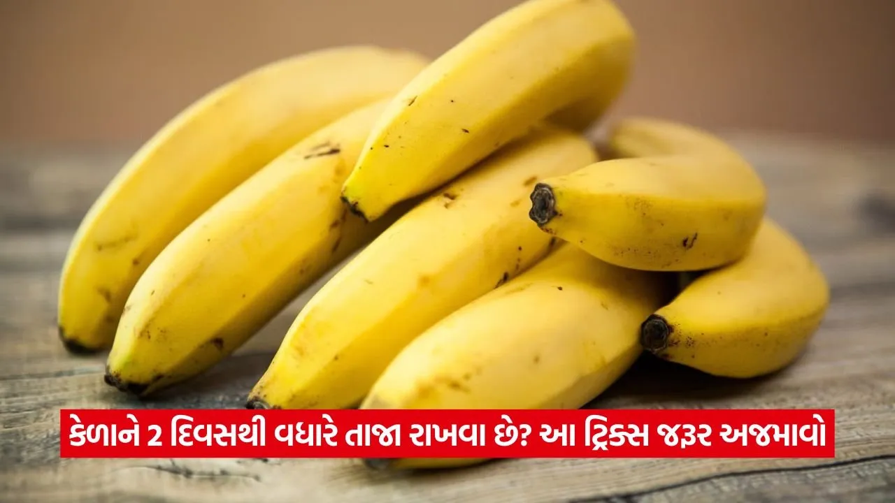 kela3.jpg