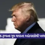 trump 3008