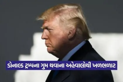 trump 3008