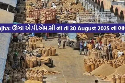 Unjha market yard