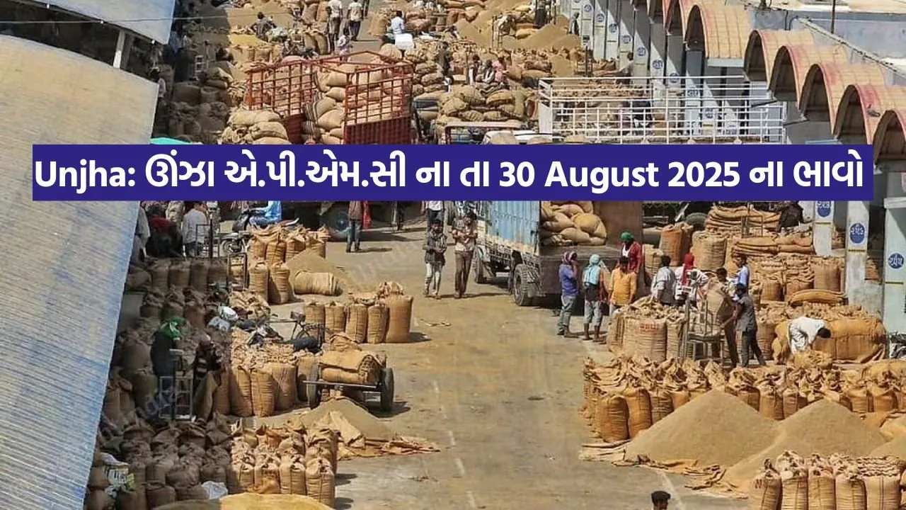 Unjha market yard