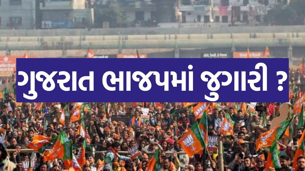 WhatsApp Image 2025 08 31 at 8.54.03 AM.jpeg