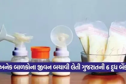 Milk bank 0109