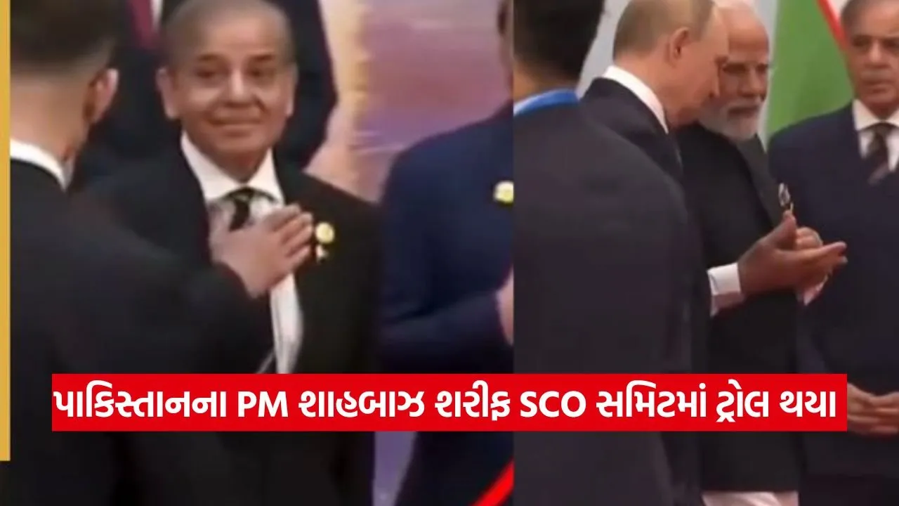 પાકિસ્તાનના PM શાહબાઝ શરીફ SCO સમિટમાં ટ્રોલ થયા, જાણો શું હતી ઘટના 22 PAK 0109.jpg