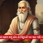 vidur niti