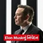 elon musk 43