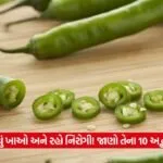 green chili 13