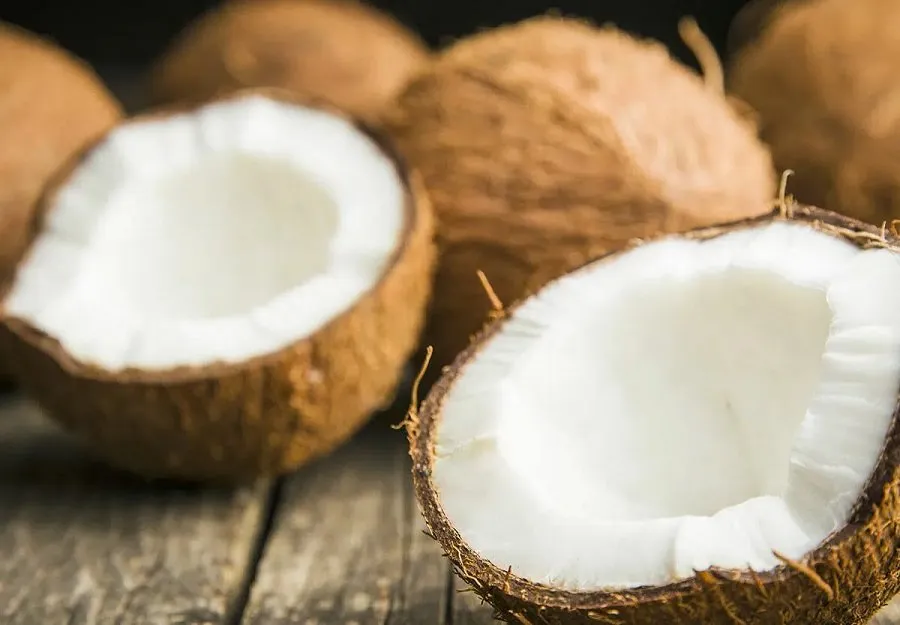 વર્લ્ડ કોકોનટ ડે પર ખાસ: ખાલી પેટે નાળિયેર ખાવાના ફાયદા અને તેને ખાવાની યોગ્ય રીત 2 cocunt.jpg