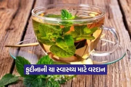mint tea 0209 1