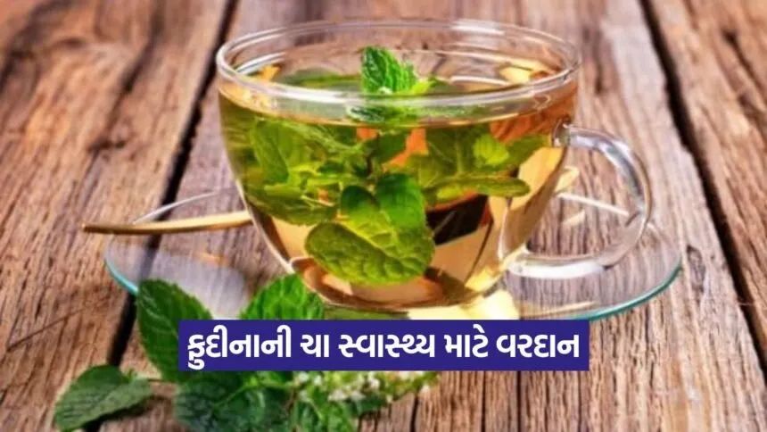 mint tea 0209 1