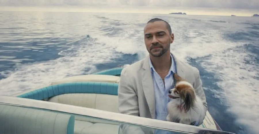 ઓટીટી લવર્સ માટે ખુશખબર: પ્રાઈમ વીડિયો પર સપ્ટેમ્બરમાં આવી રહી છે આ 4 શાનદાર રિલીઝ 4 hotel.jpg