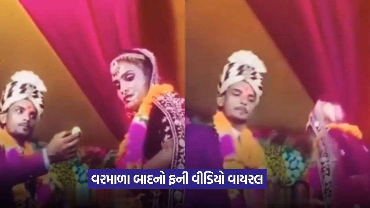 Video: આ દુલ્હા-દુલ્હનની હરકતો જોઈને લોકો હેરાન, સોશિયલ મીડિયા પર આ વીડિયો થઈ રહ્યો છે વાયરલ 21 video 3.jpg