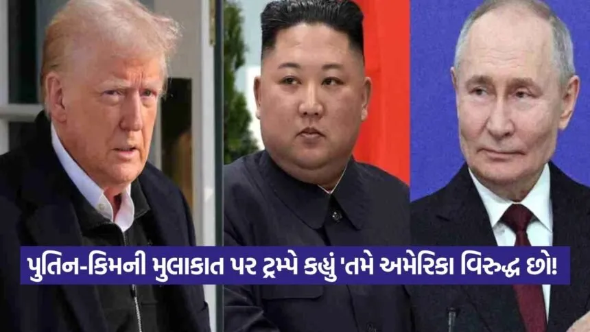 trump 0209
