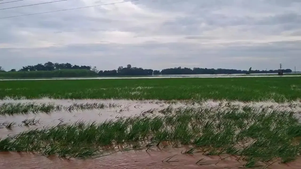 Punjab flood.jpg