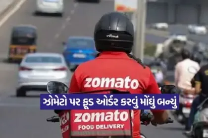 zomato 0209