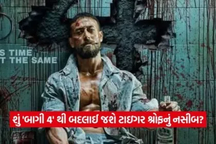 baaghi 3