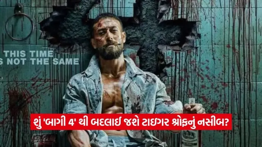 baaghi 3