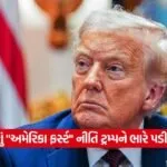 trump 2