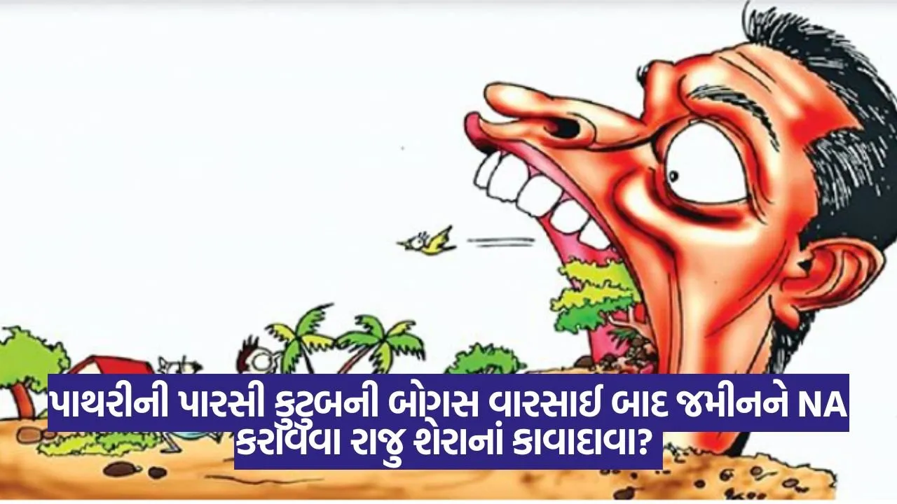 વલસાડ: પાથરીની પારસી કુટુબની બોગસ વારસાઈ બાદ જમીનને NA કરાવવા રાજુ શેરાનાં કાવાદાવા? કલેક્ટર કચેરીની ભૂંડી ભૂમિકા સામે ચિંઘાતી આંગળી 19 Land 0209.jpg