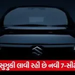 Maruti Suzuki Victoris India