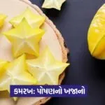 kamrkh