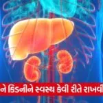 liver and kidney 43