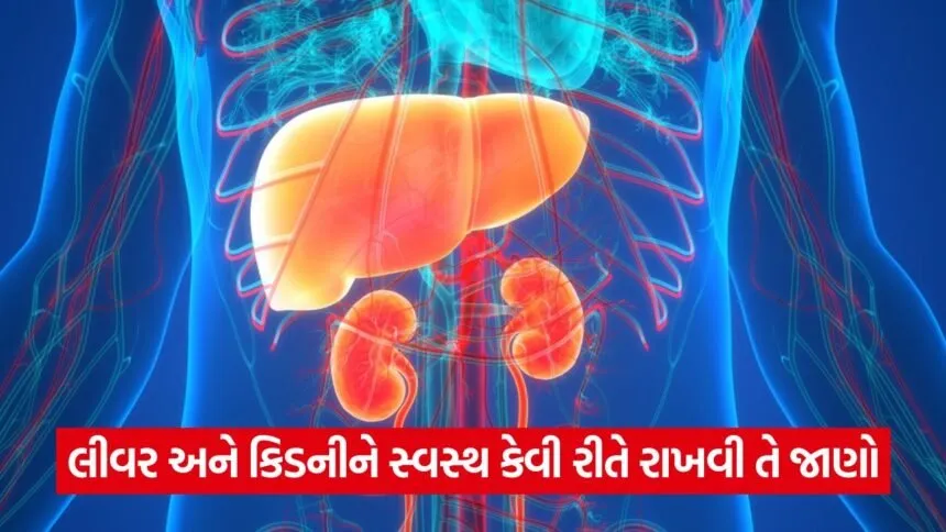liver and kidney 43