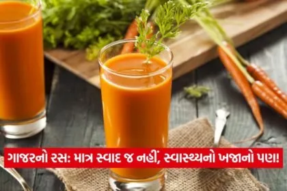 carrot juice19