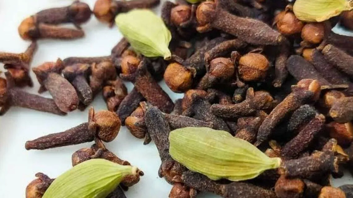 આશ્ચર્યજનક ફાયદા: દરરોજ એલચી અને લવિંગ ખાવાથી શું થાય છે? 3 elchi.1.jpg