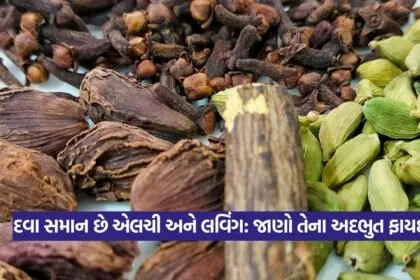 clove