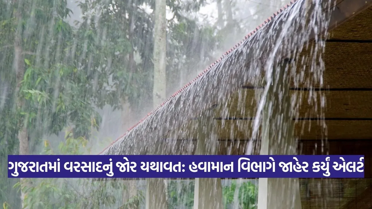 Guj 0309.jpg