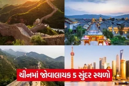 china 43