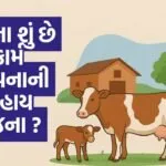 dairy farm 12 milch animals subsidy scheme