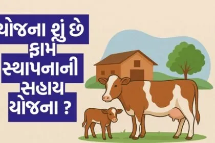 dairy farm 12 milch animals subsidy scheme