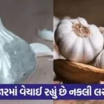 fake garlic