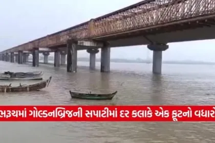 Bharuch 0309