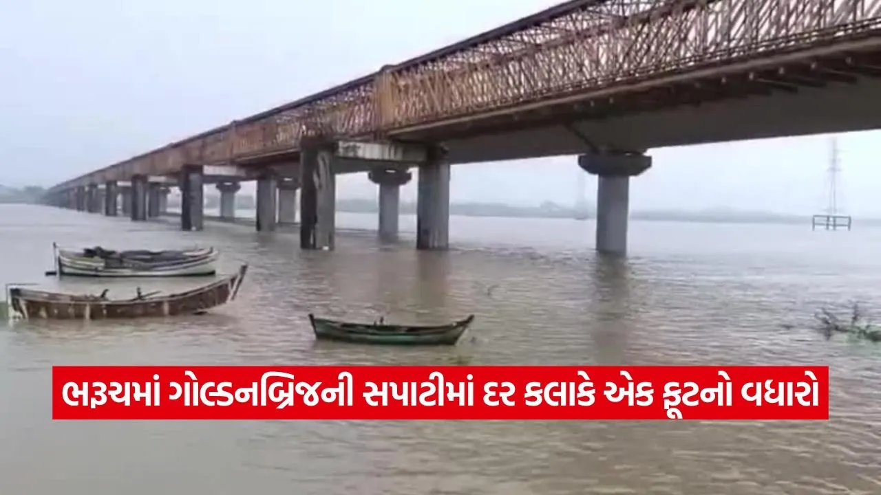 ભરૂચમાં નર્મદાનું જળસ્તર ભયજનક સપાટી તરફ: ગોલ્ડનબ્રિજની સપાટીમાં એક ફૂટનો વધારો 23 Bharuch 0309.jpg