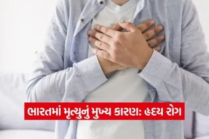 Heart 0509