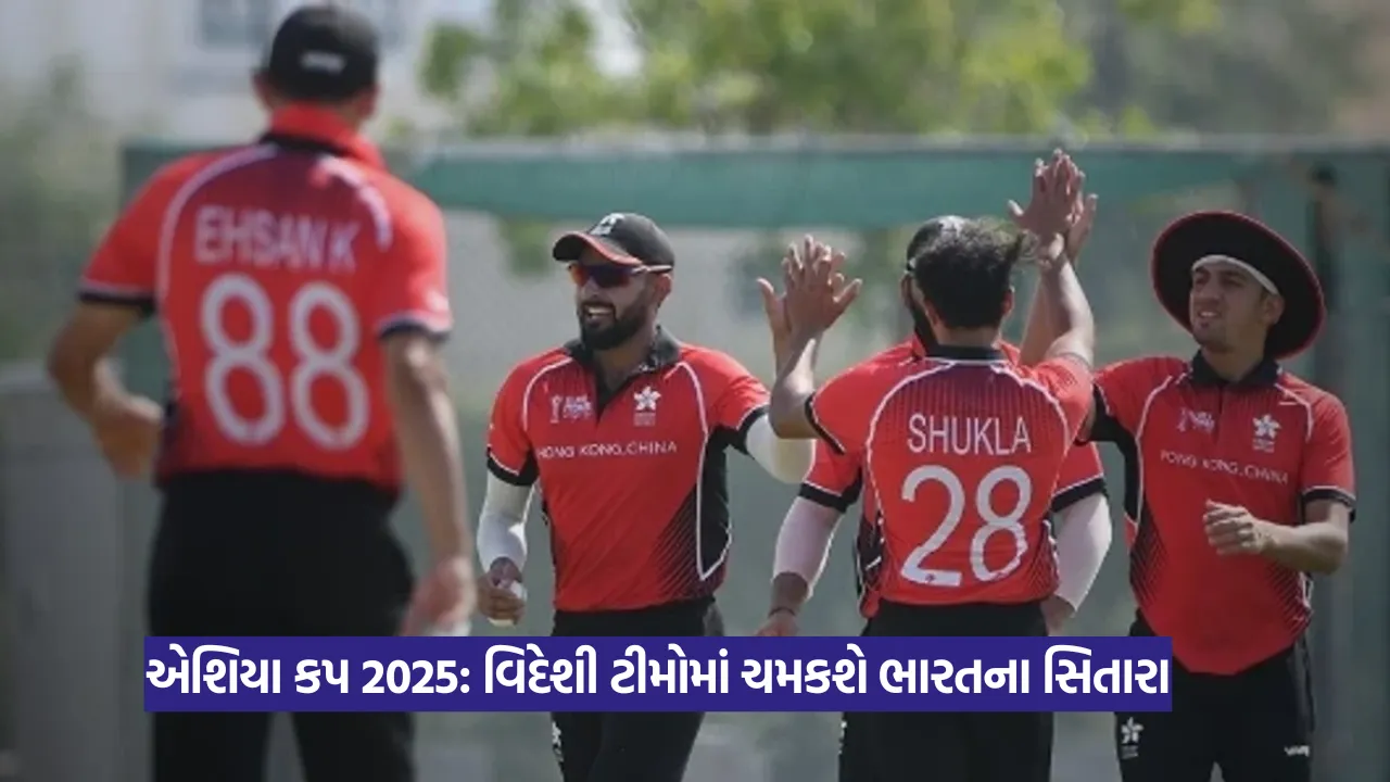 એશિયા કપમાં રંગ જમાવશે ભારતીય મૂળના ખેલાડીઓ 21 asian cup.png