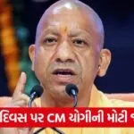 yogi